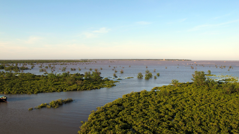 Khu dự trữ sinh quyển châu thổ sông Hồng có rừng ngập mặn Kim Sơn được công nhận là khu Ramsar đầu tiên ở Đông Nam Á