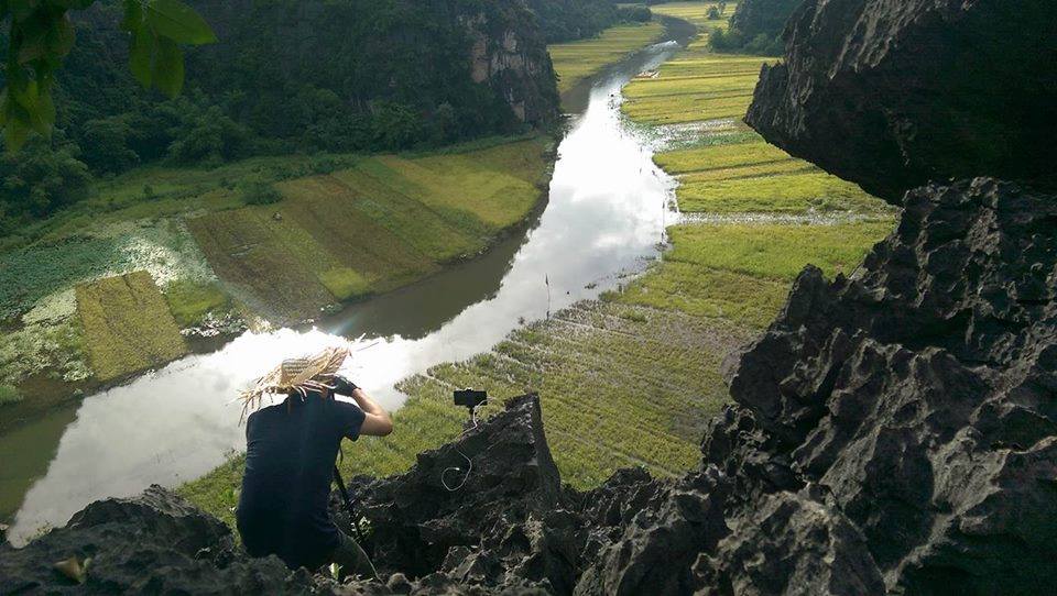 Ngắm cánh đồng lúa chín ở Tam Cốc trên dòng sông Ngô Đồng