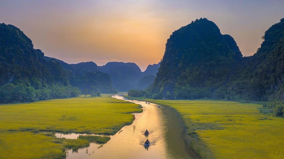 Ngắm cánh đồng lúa chín ở Tam Cốc trên dòng sông Ngô Đồng