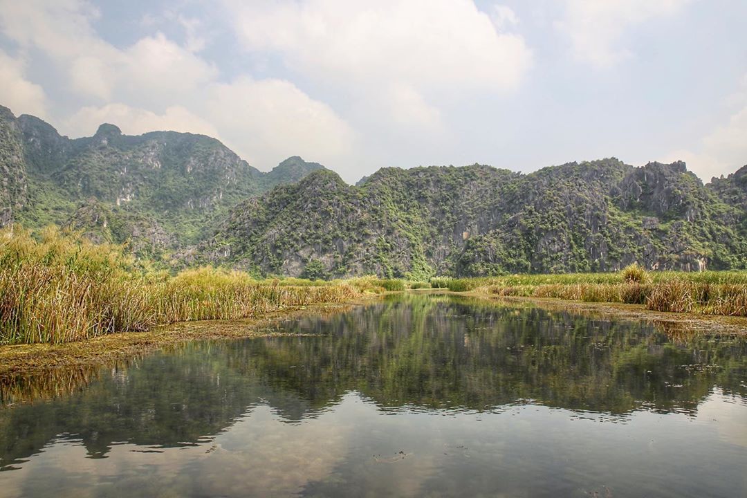 Ngắm cánh đồng lúa chín ở khu bảo tồn thiên nhiên đất ngập nước Vân Long