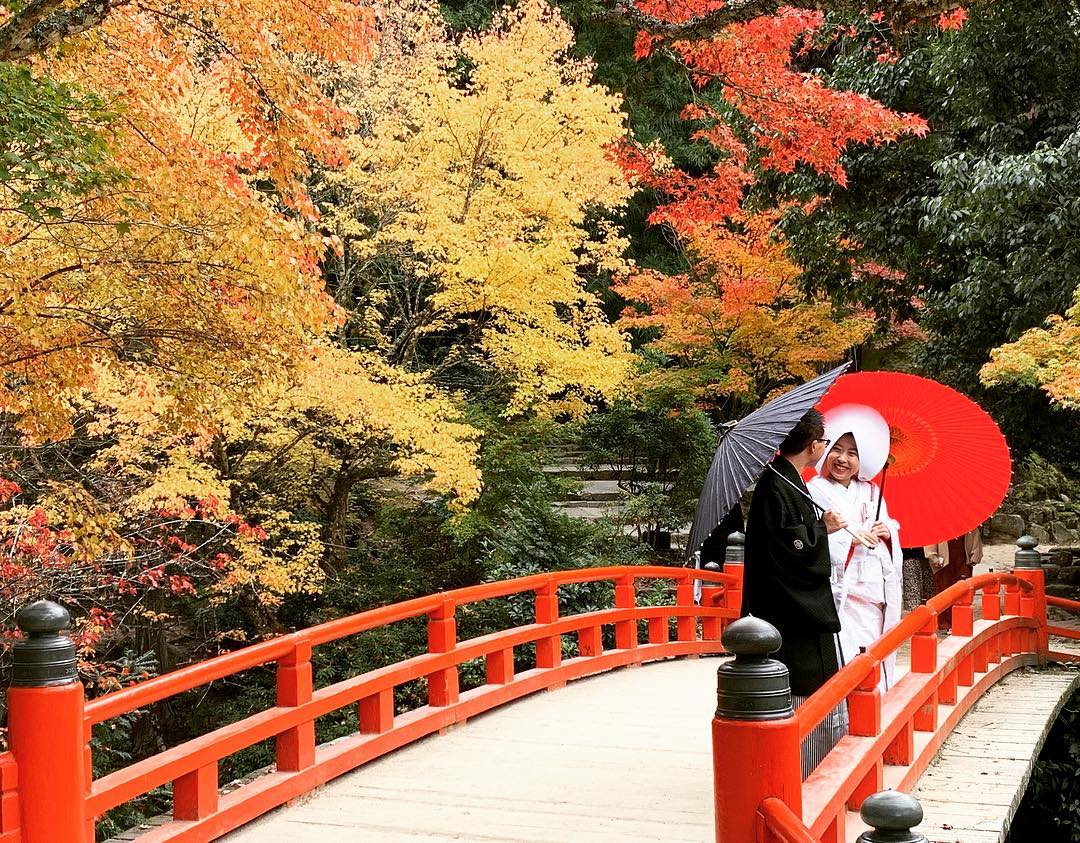 Mùa thu, nếu đi nghỉ tuần trăng mật thì Nhật Bản cũng là một sự lựa chọn vô cùng lý tưởng