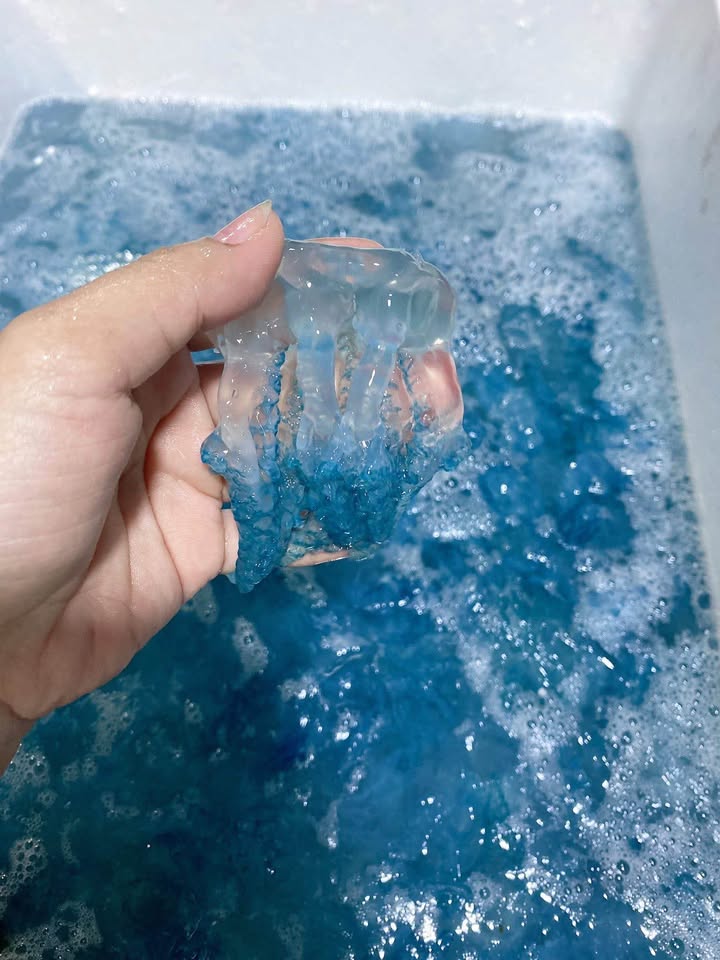 Con nuốc là đặc sản ở phá Tam Giang - Thừa Thiên Huế