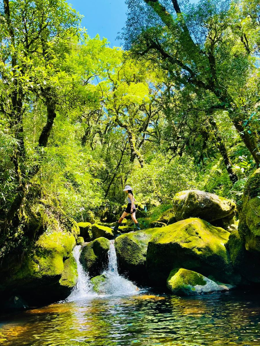 Cung đường xanh mướt khi đi trekking tại đỉnh Putaleng