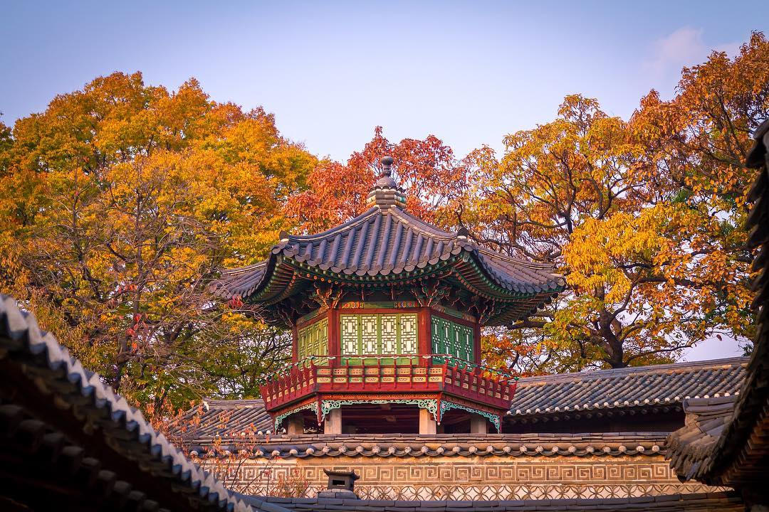 Cung điện Changdeok tráng lệ giữa rừng cây lá vàng rực rỡ