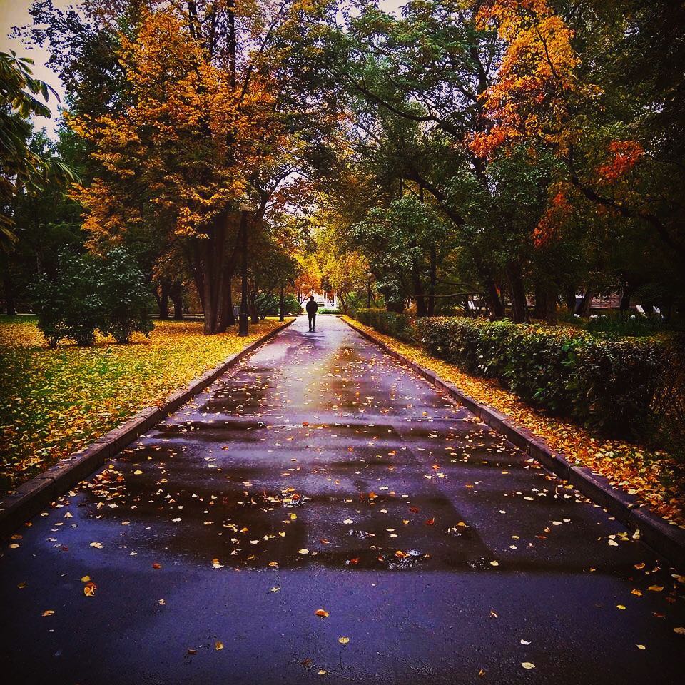 Công viên Gorky phủ đầy lá vàng chỉ sau một cơn gió nhẹ vào mùa thu