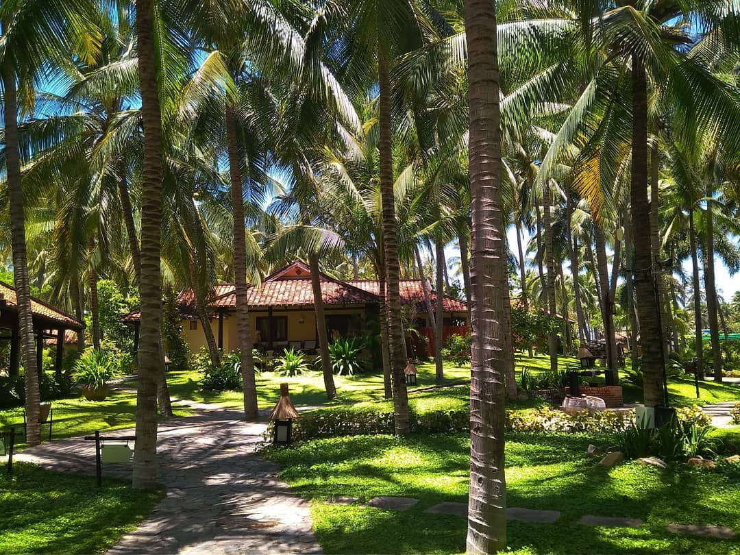 Khuôn viên xanh mướt