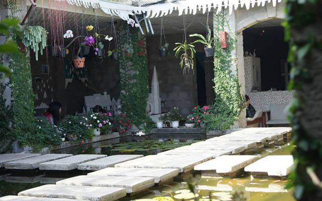 Maya Café