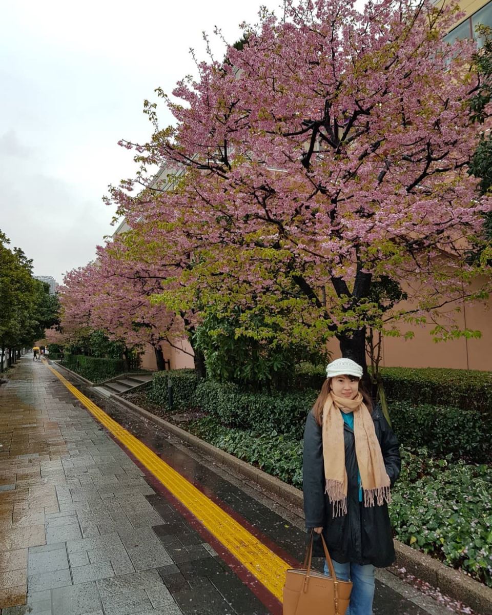 Hoa anh đào tháng 4 ở Nhật Bản