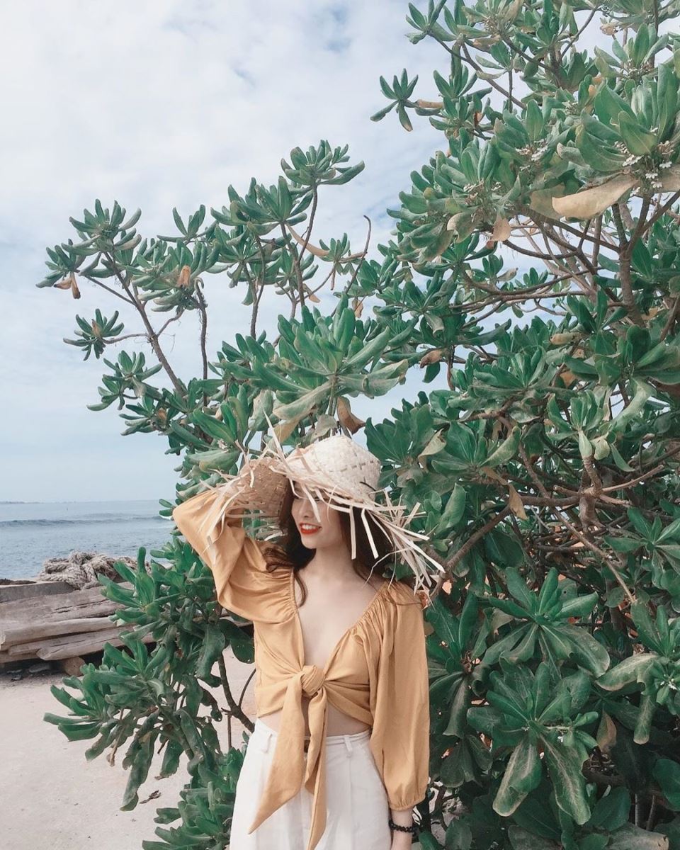 Biển đảo Lý Sơn tháng 6 được ví như một nàng tiên đang say giấc nồng với những hàng dừa nghiêng bóng soi trên mặt nước