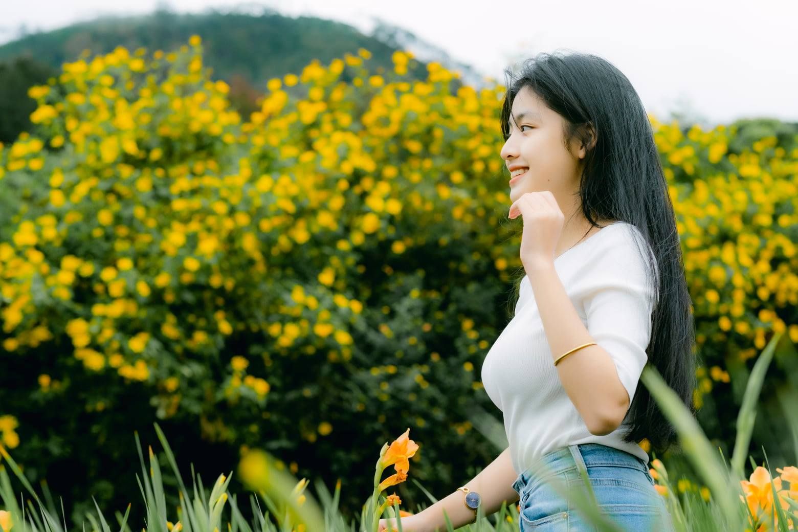 Sắc vàng của hoa dã quỳ Đà Lạt vào tháng 9, tháng 10